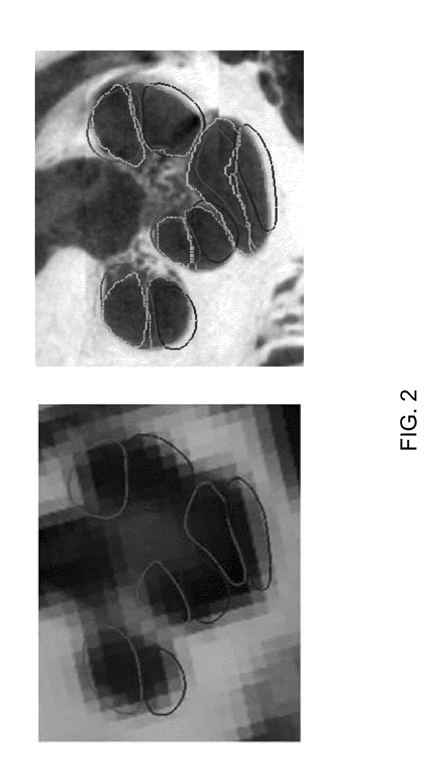 Methods and systems for customizing cochlear implant stimulation and applications of same