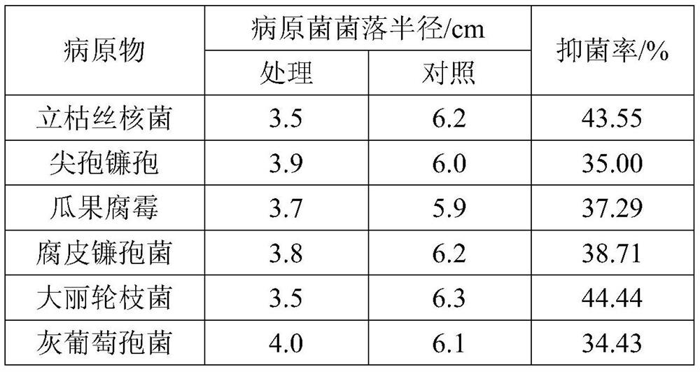 Streptomyces amritsarensis S1-12 and application thereof to prevention and control of soil-borne diseases