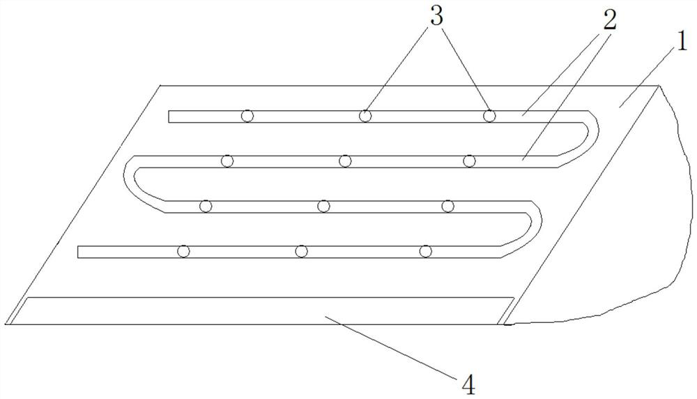 A method for preventing and controlling the loss of nitrogen and phosphorus in sloping cultivated land