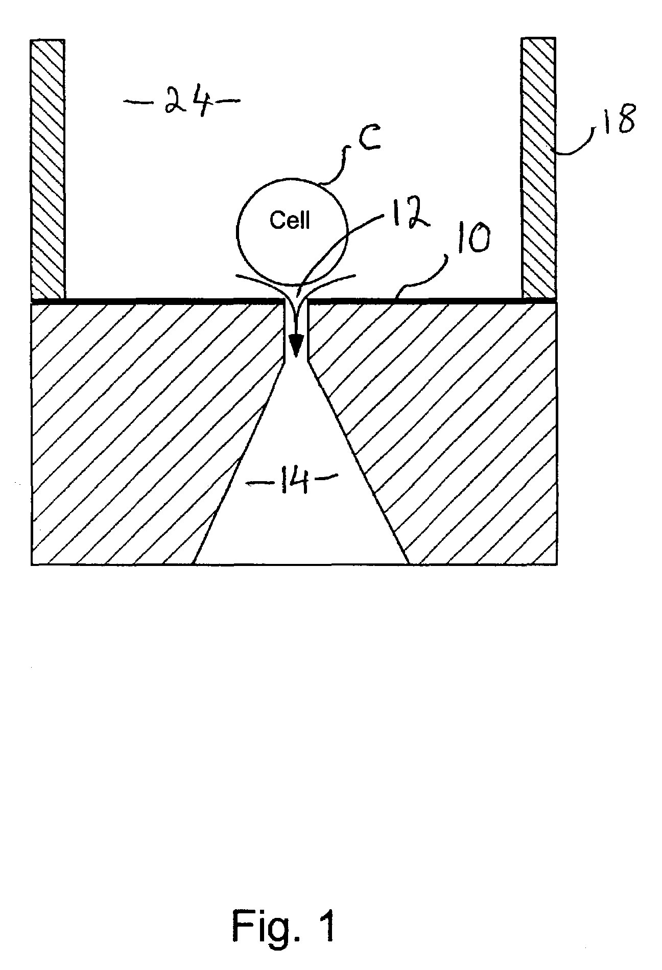 Detachable cell-delivery system for patch-clamp unit