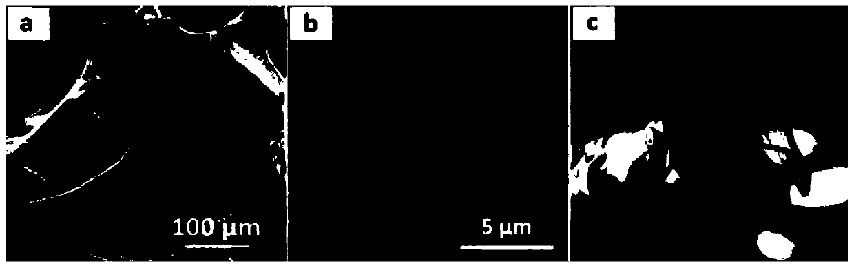 Preparation method of graphene/carbon nanotube network flexible multifunctional strain sensor