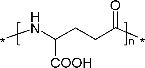 Gamma-polyglutamic acid and naphthylacetic acid combined type rooting agent and using method thereof