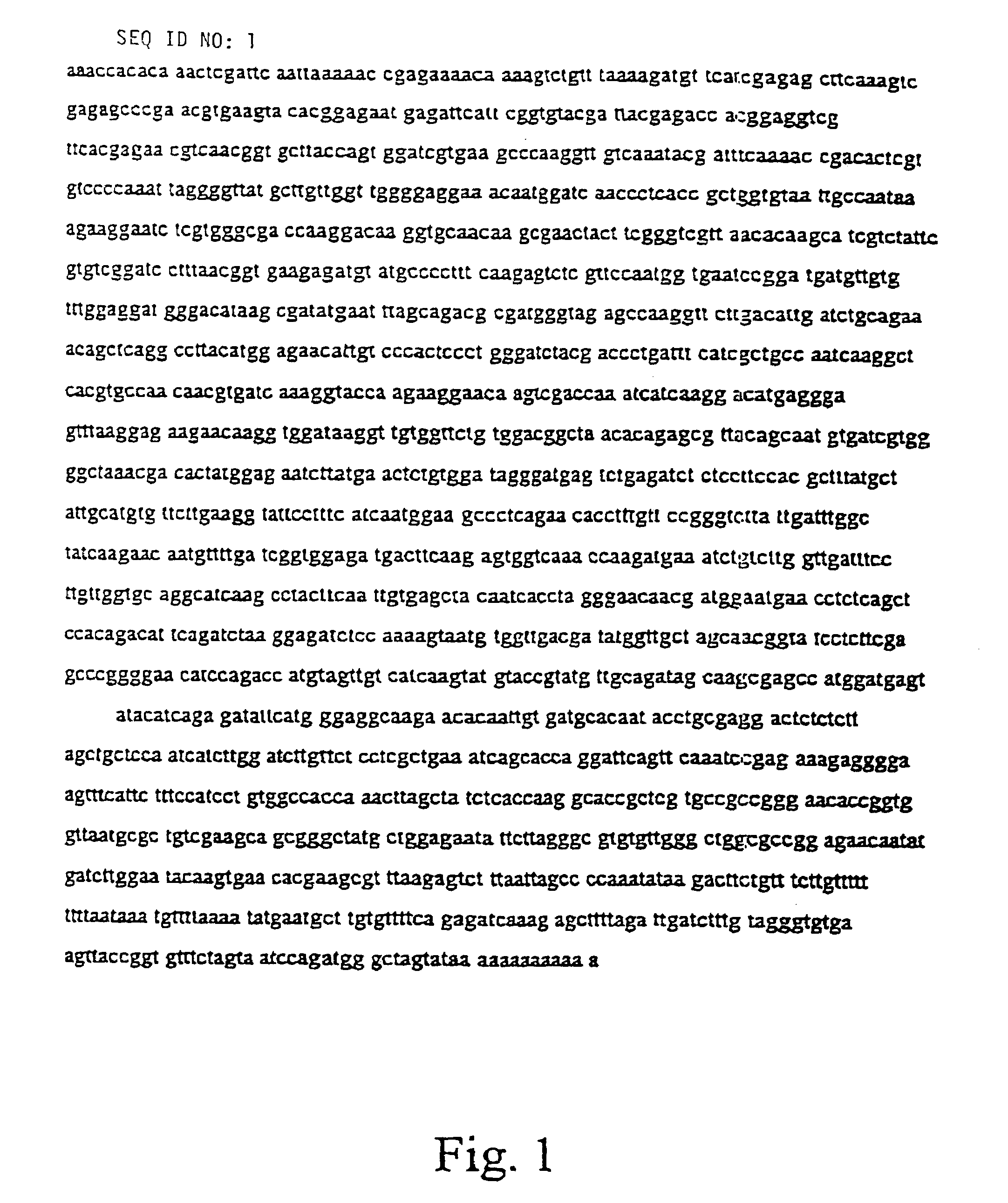 Method for reducing phytate in canola meal using genetic manipulation involving myo-inositol 1-phospathe synthase gene