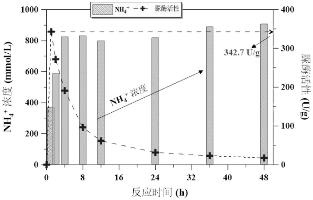 Chitosan enhanced enzyme induced carbonate precipitation curing agent and application method thereof