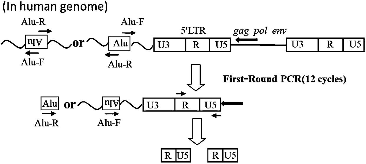 Nucleic acid amplification fluorescent quantitation method for detecting and integrating HIV-1 virus genomes and application thereof