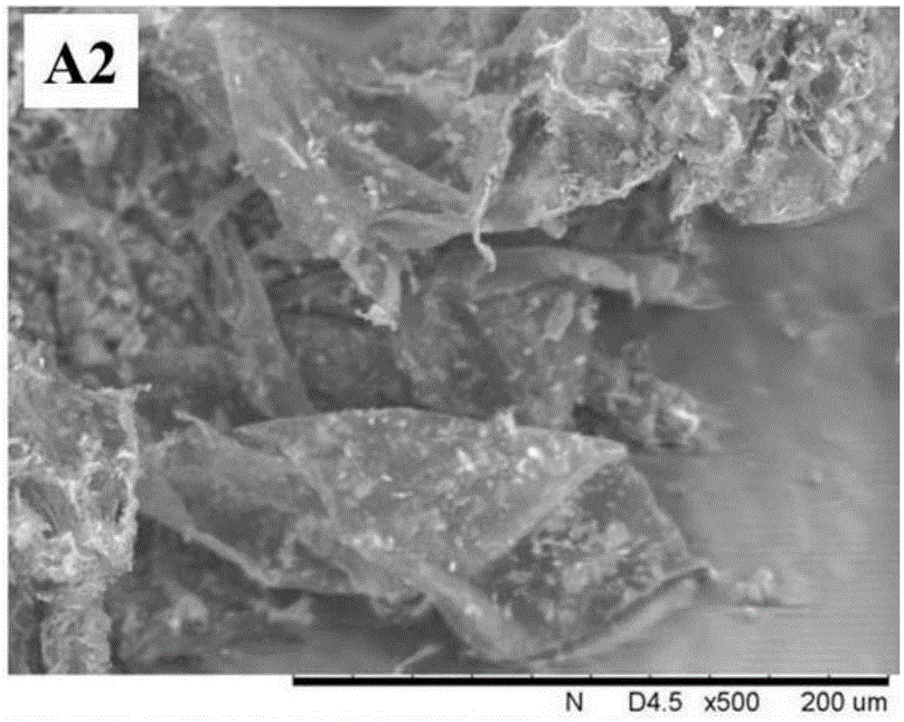 Mulberry active phenolic compound and pollution-free extraction and purification method thereof