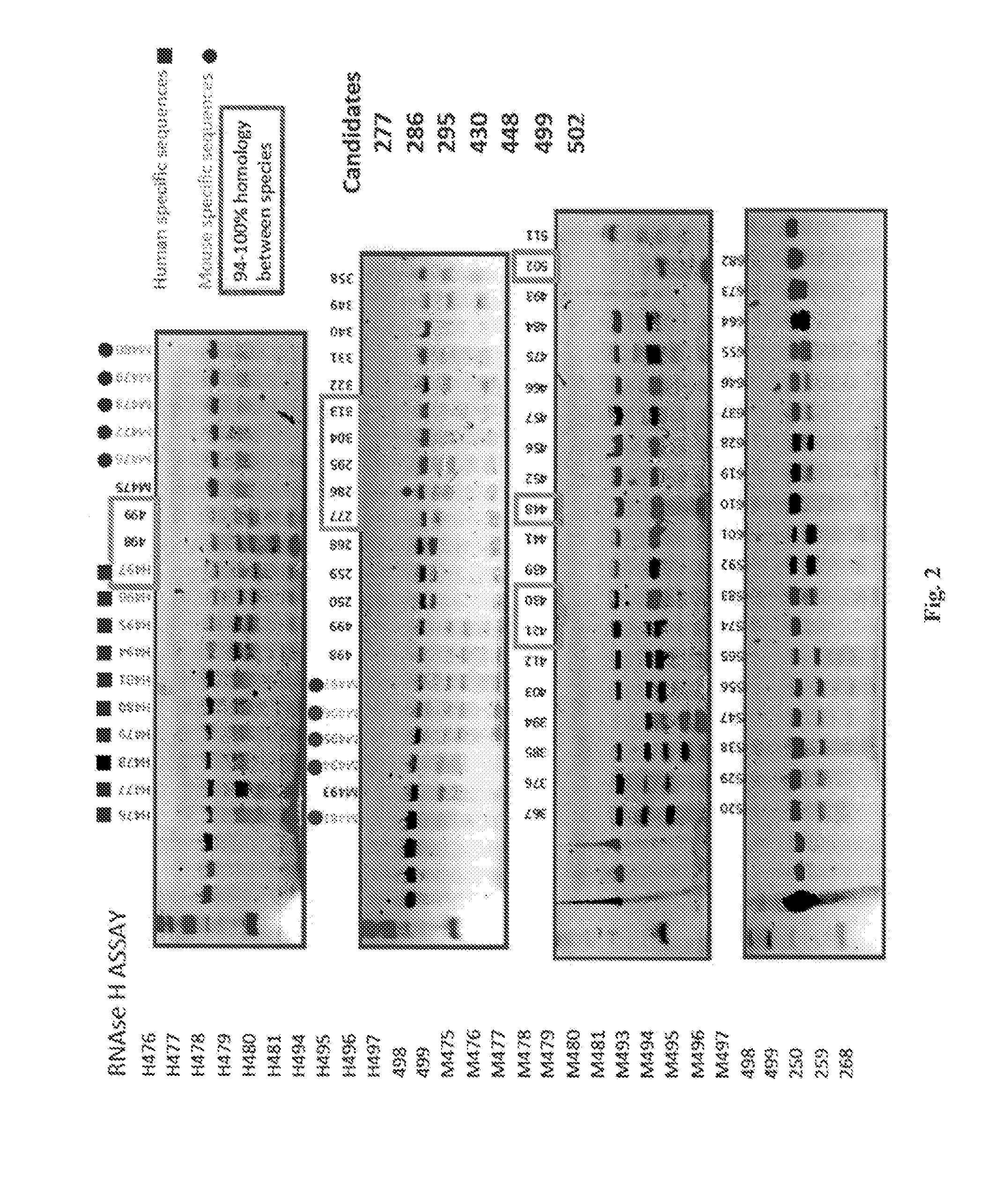 Compositions and Methods for the Treatment of Parkinson Disease by the Selective Delivery of Oligonucleotide Molecules to Specific Neuron Types