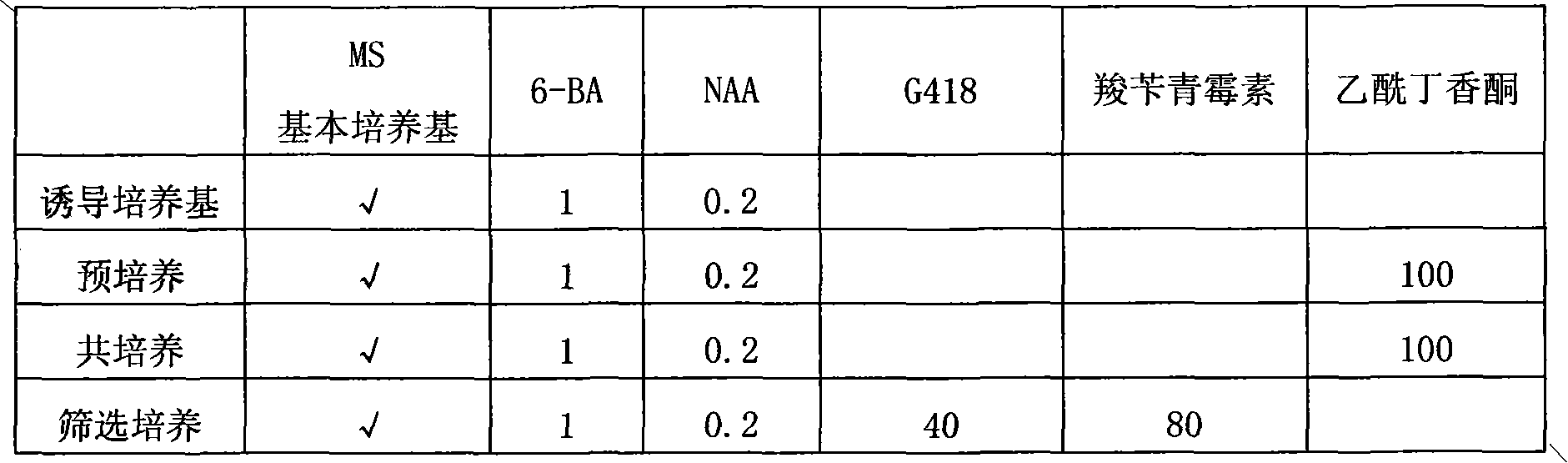 Method for genetic transformation of agrobacterium rhizogenes-mediated anthrium andraeanum