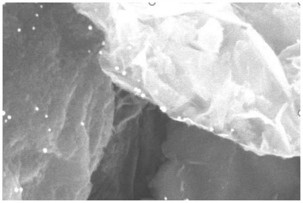 Preparation method of graphene-rare earth doped zinc oxide nano ceramic microfiltration membrane composite material