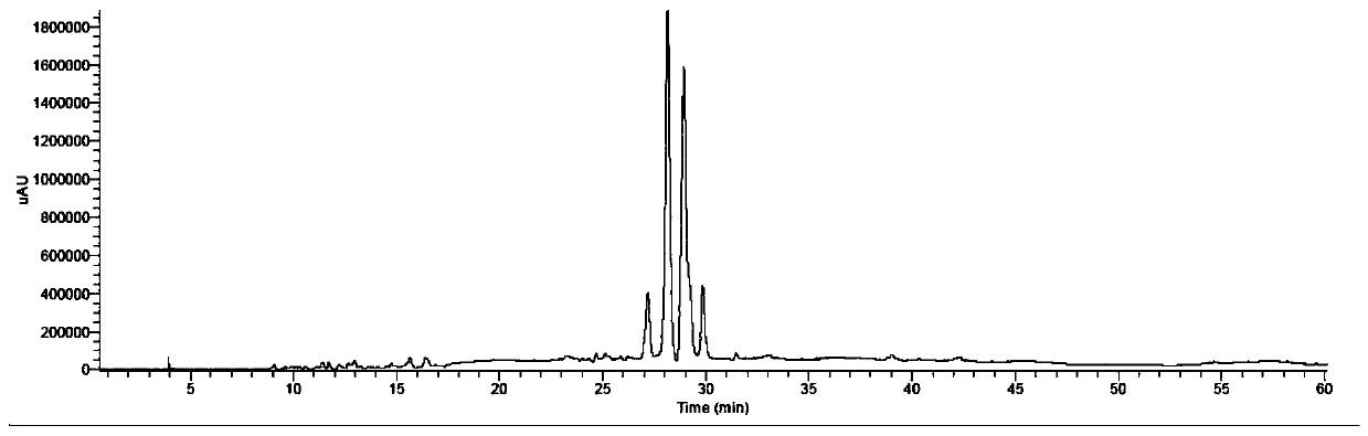 Method for measuring content of spermidine in safflower medicinal material and method for enriching spermidine