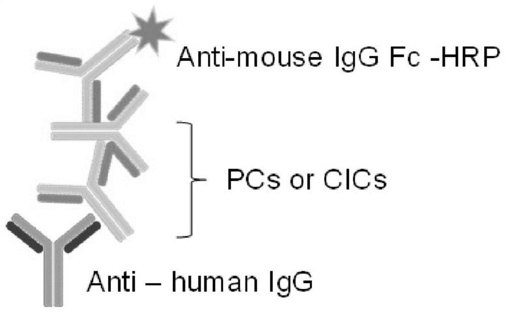 Method for detecting immune complex in mouse blood sample