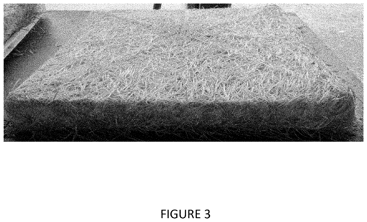 Method for obtaining root mass from vegetable seeds and root mass obtained thereof