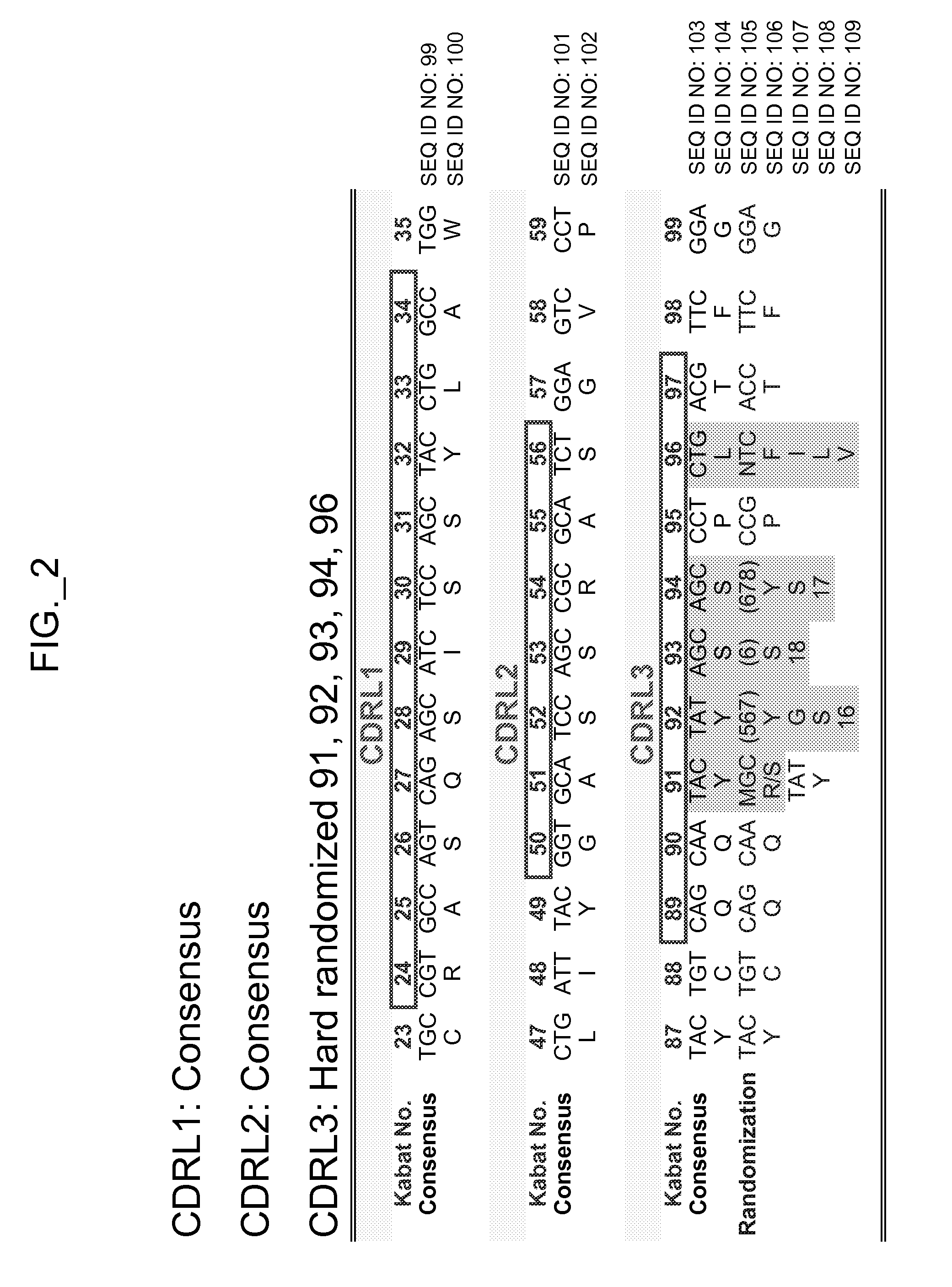 Binding polypeptides with diversified and consensus VH/VL hypervariable sequences