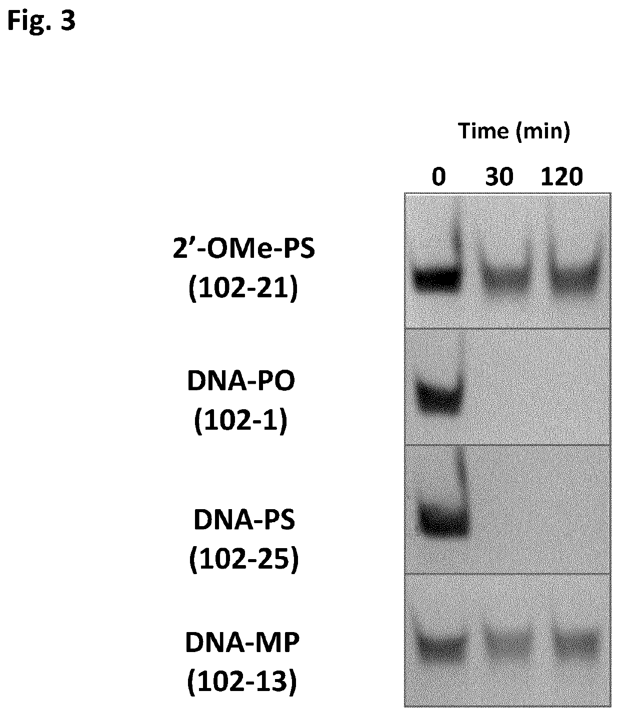 Chemically modified oligonucleotides for RNA editing