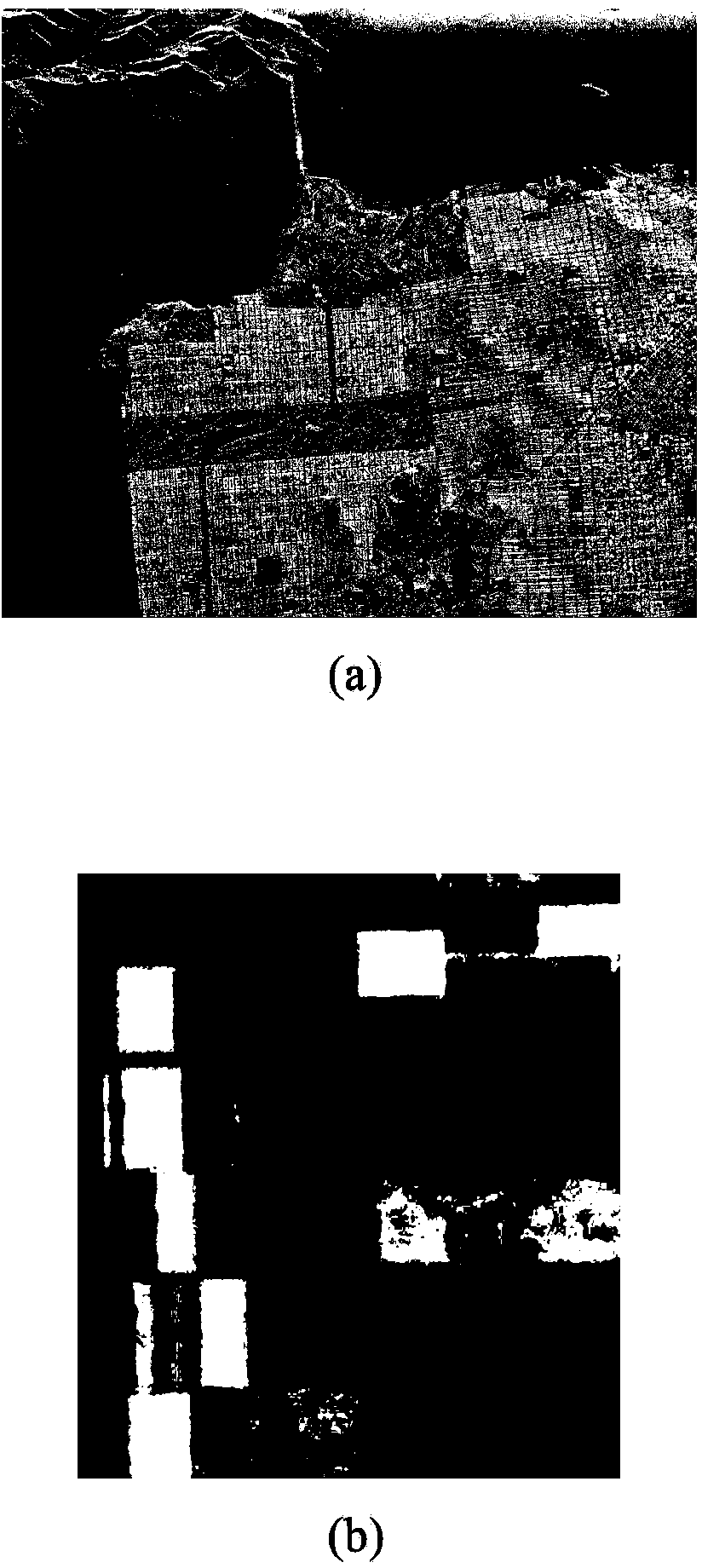 Polarization SAR (synthetic aperture radar) image classification method based on Freeman decomposition and PSO (particle swarm optimization)