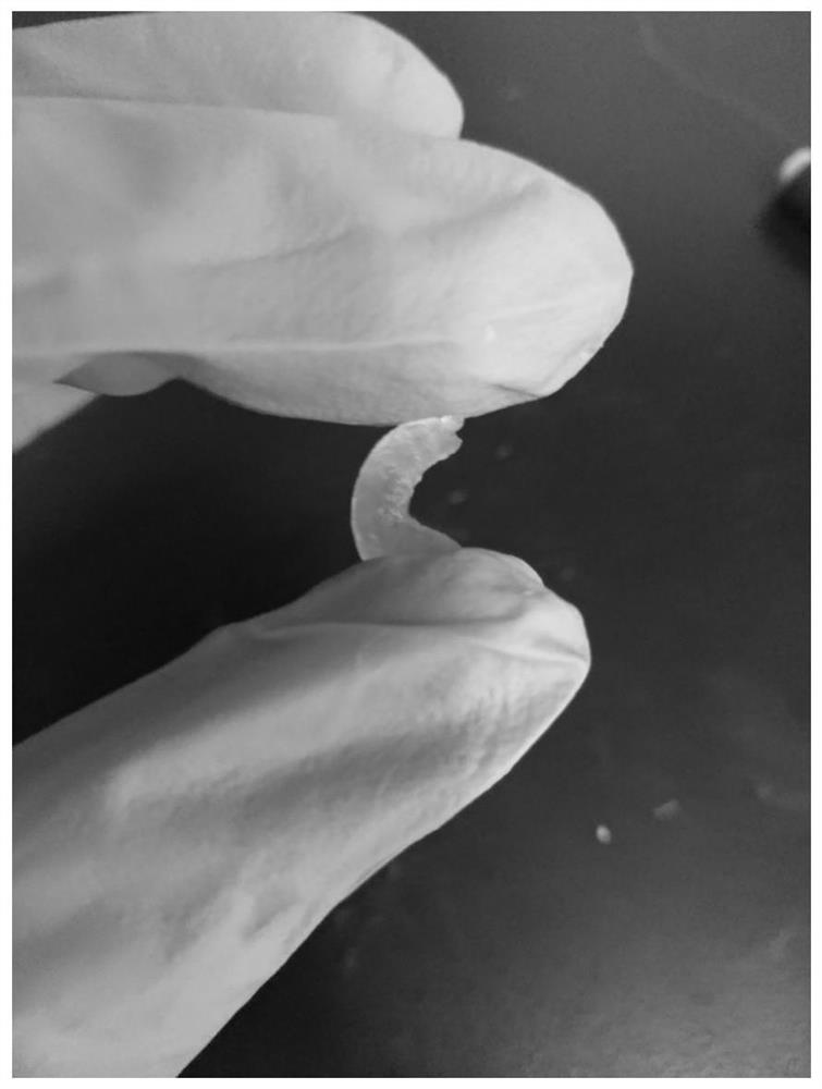A kind of preparation method of high tenacity silk fibroin gel