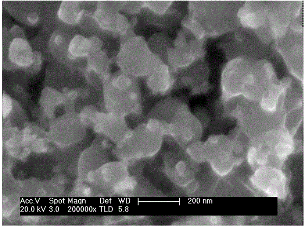 Preparation method of three dimensional nanometer porous titanium and alloy thereof