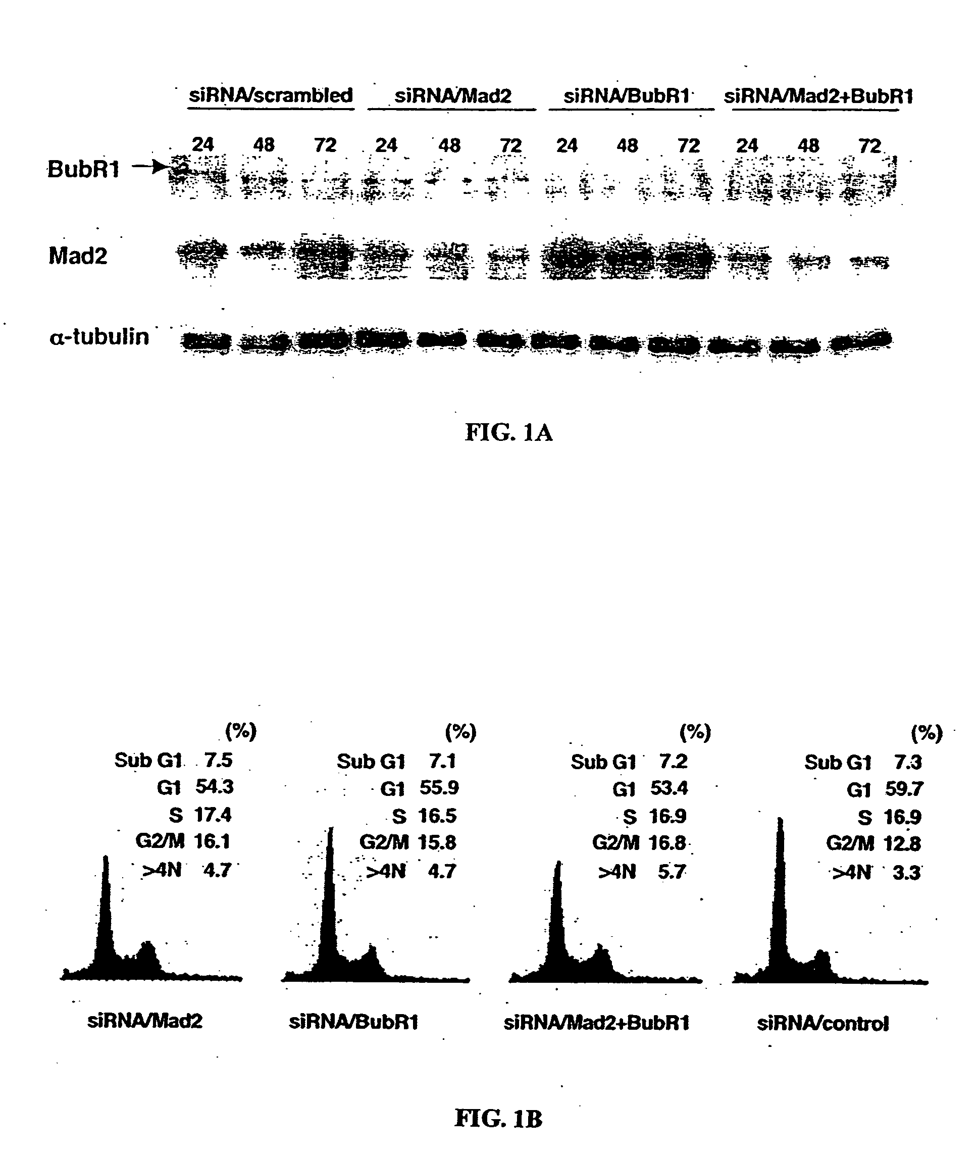 Taxane chemosensitivity prediction test