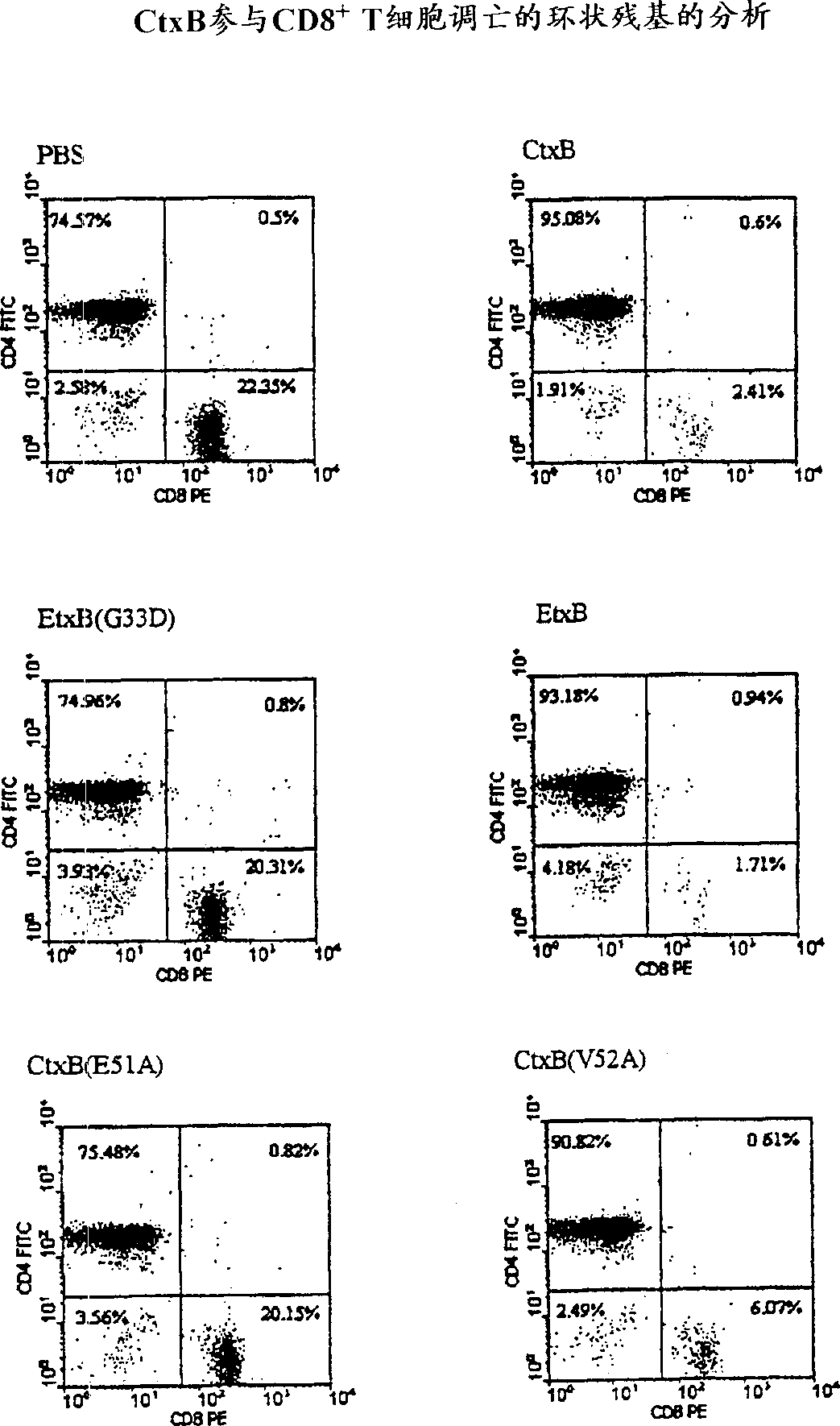 Peptide fragments of cholera toxic B or enterotoxin B as vaccine adjuvants
