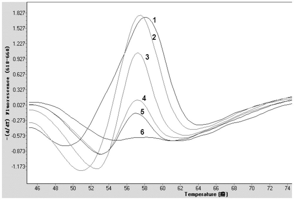 A kit for detecting common clinical pathogenic bacteria by rna constant temperature amplification melting curve method and its application