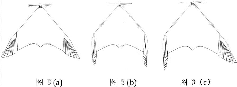 Wing deformation type bionic unmanned aerial aircraft and deformation control method