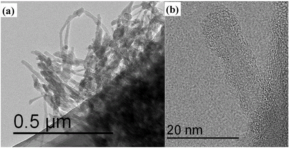 Preparation method of carbon nanotube