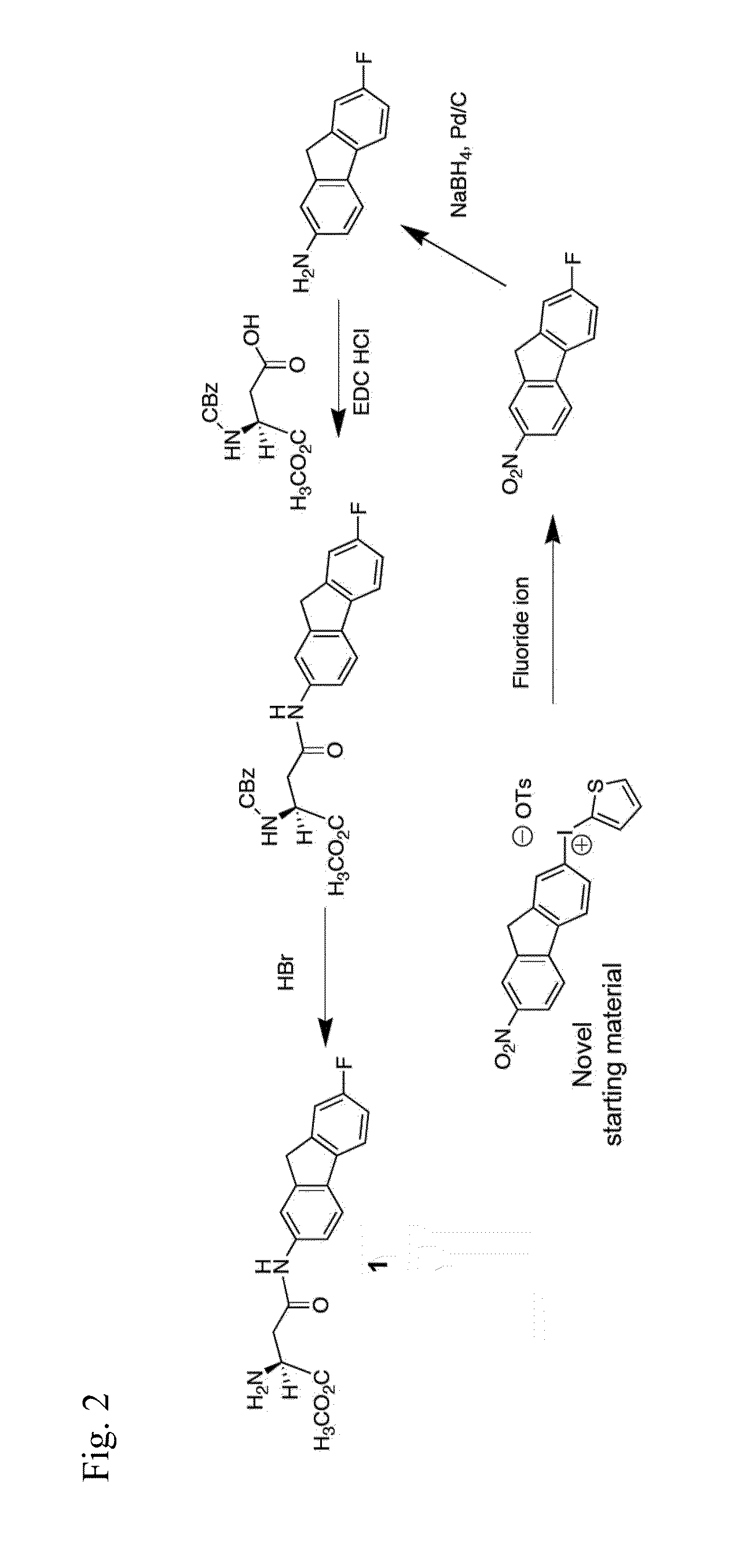 Novel Aspartylamide Inhibitors of Excitatory Amino Acid Transporters