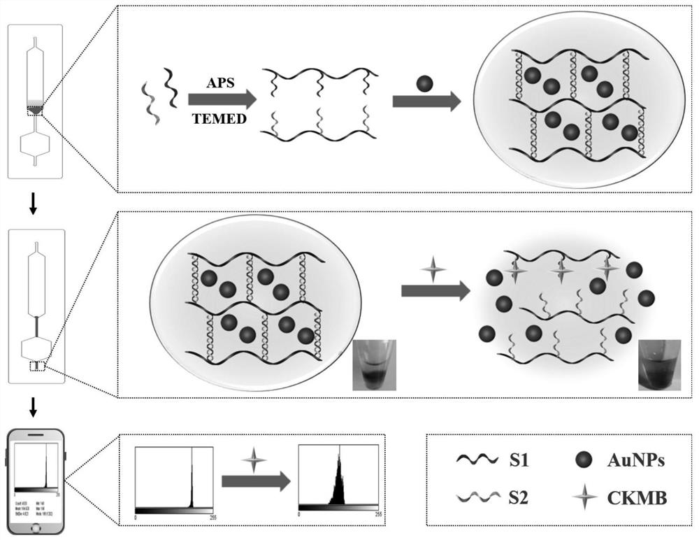Microfluidic chip colorimetric detection method and kit for detecting creatine kinase isoenzyme