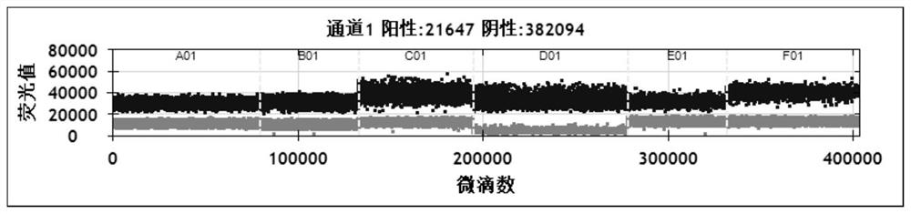 Primer probe for detecting amplification of recurrence and metastasis gene WNT2 of neuroblastoma and application of primer probe