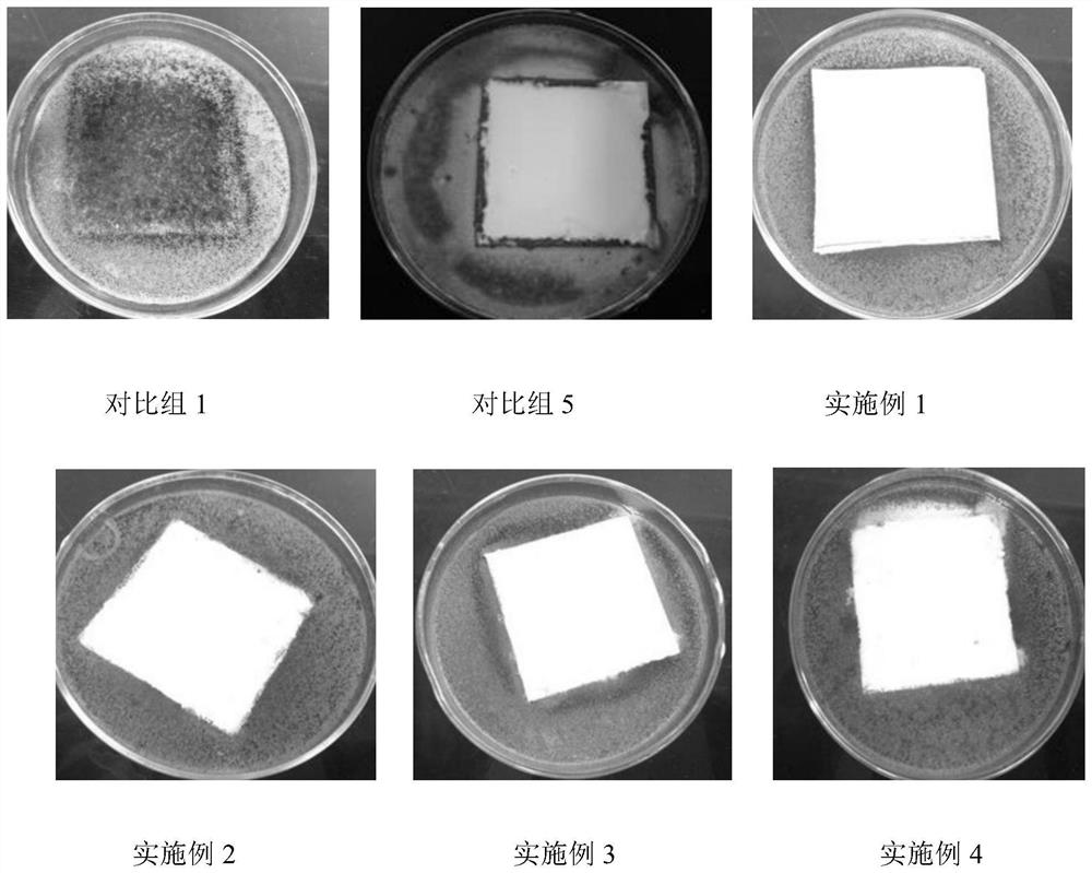Preparation and application method of a gypsum composite antifungal agent with waterproof function