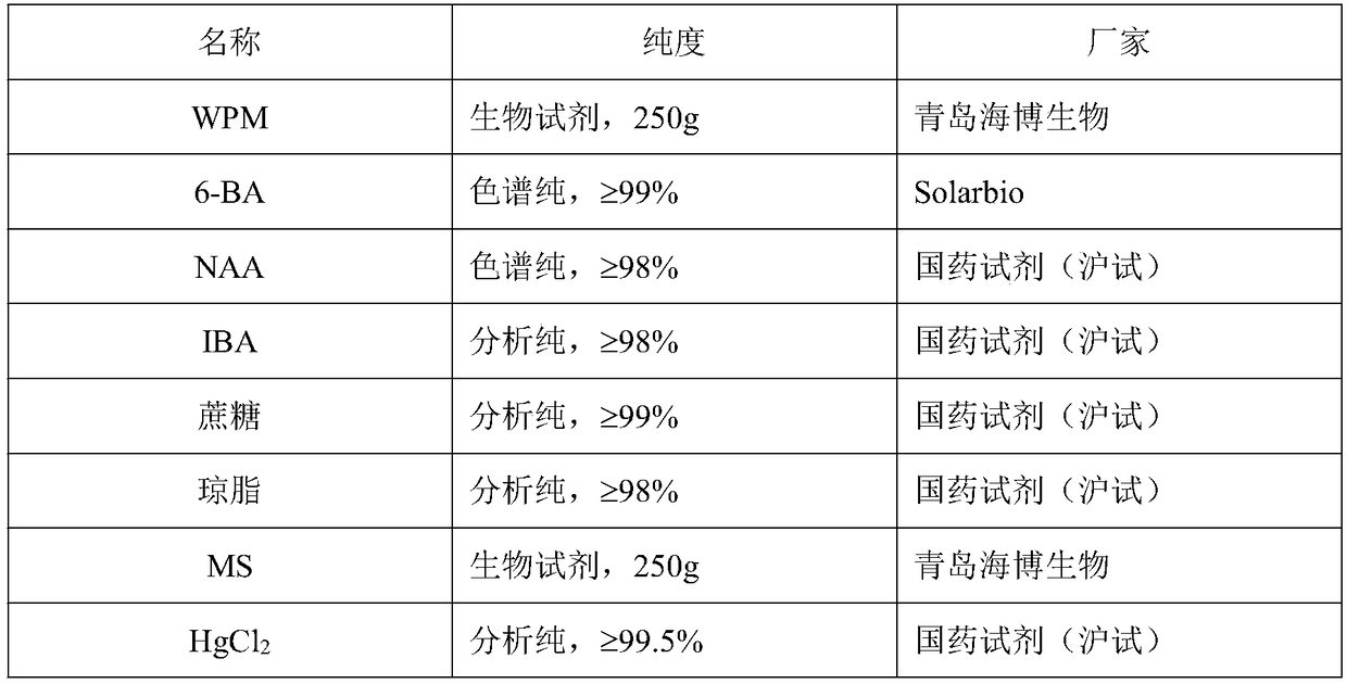 Asexual rapid cultivation method of Huaiyuan white-flower white peel pomegranate cultivar