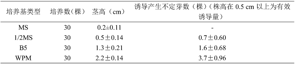 Asexual rapid cultivation method of Huaiyuan white-flower white peel pomegranate cultivar