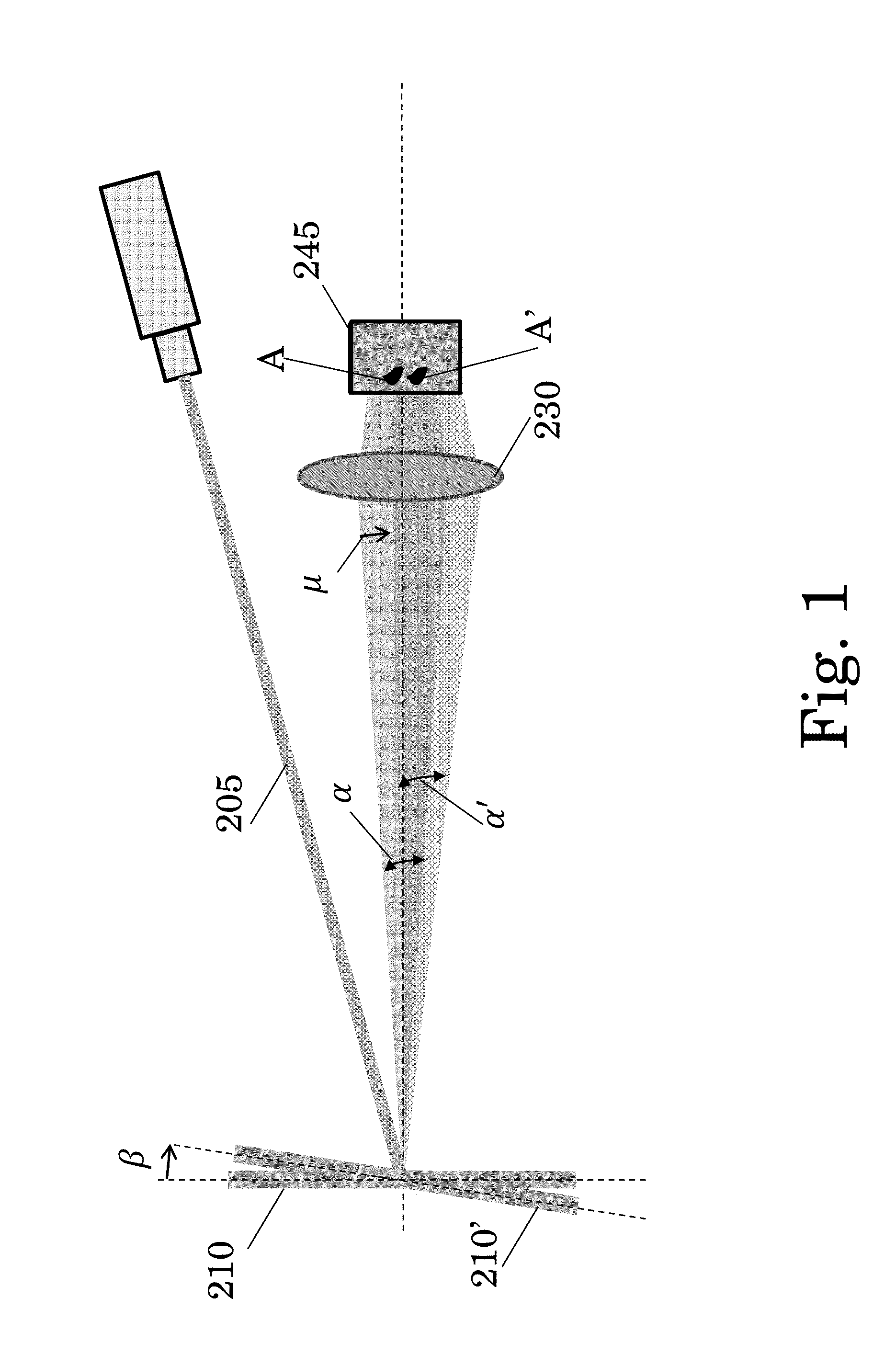 System and Method for Remotely Identifying and Characterizing Life Physiological Signs