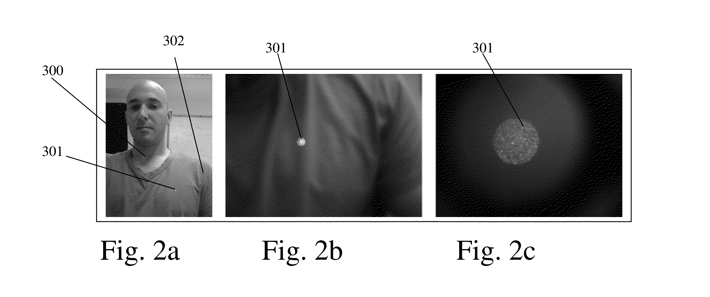 System and Method for Remotely Identifying and Characterizing Life Physiological Signs