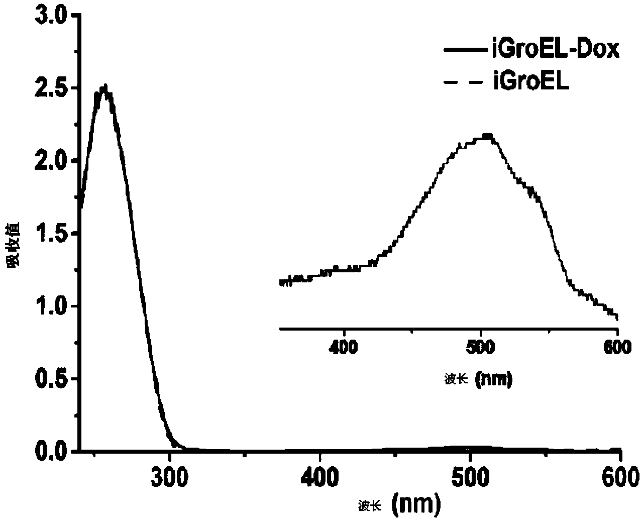 Fusion protein and encoding gene and preparation method of fusion protein as well as pharmaceutical composition and preparation method of pharmaceutical composition