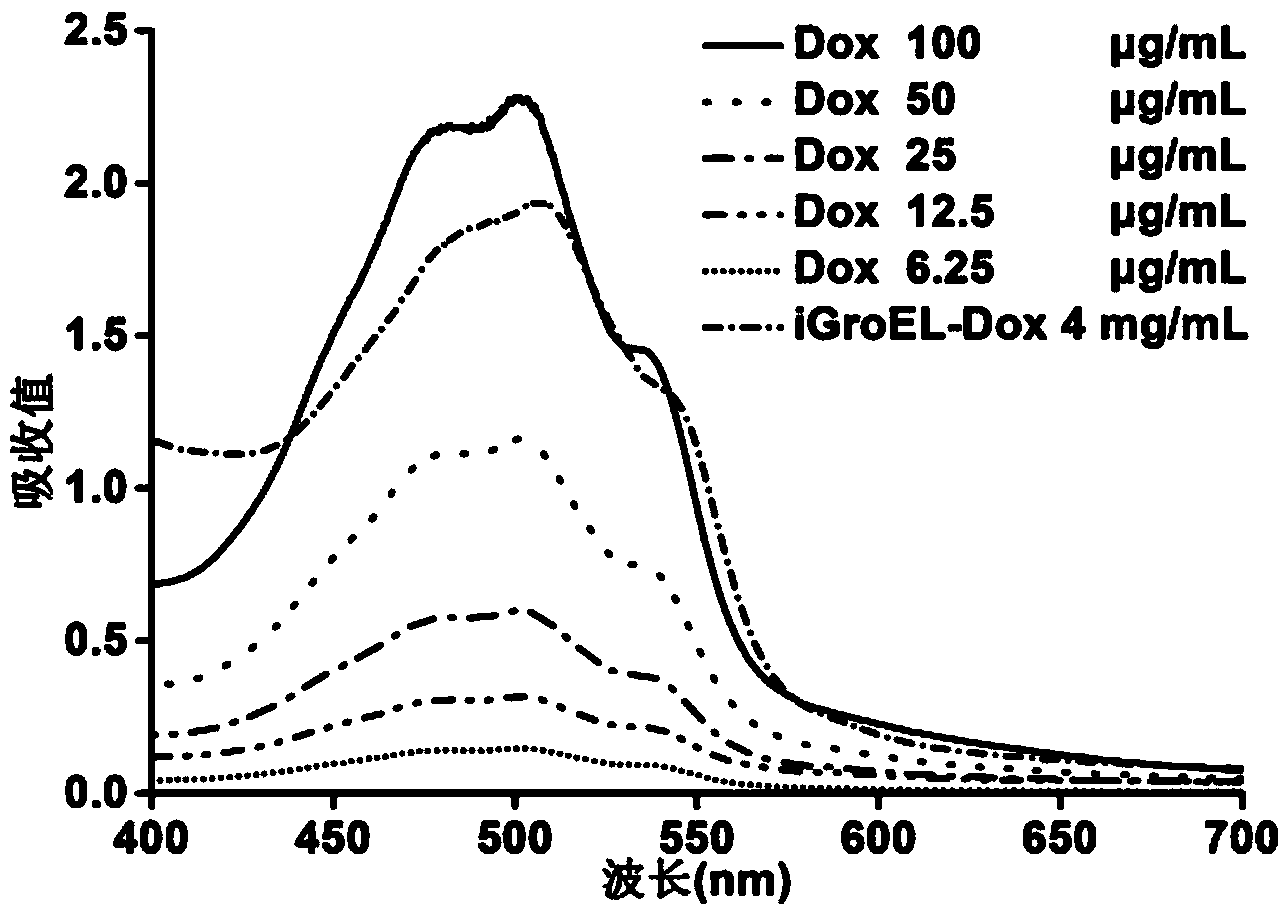 Fusion protein and encoding gene and preparation method of fusion protein as well as pharmaceutical composition and preparation method of pharmaceutical composition