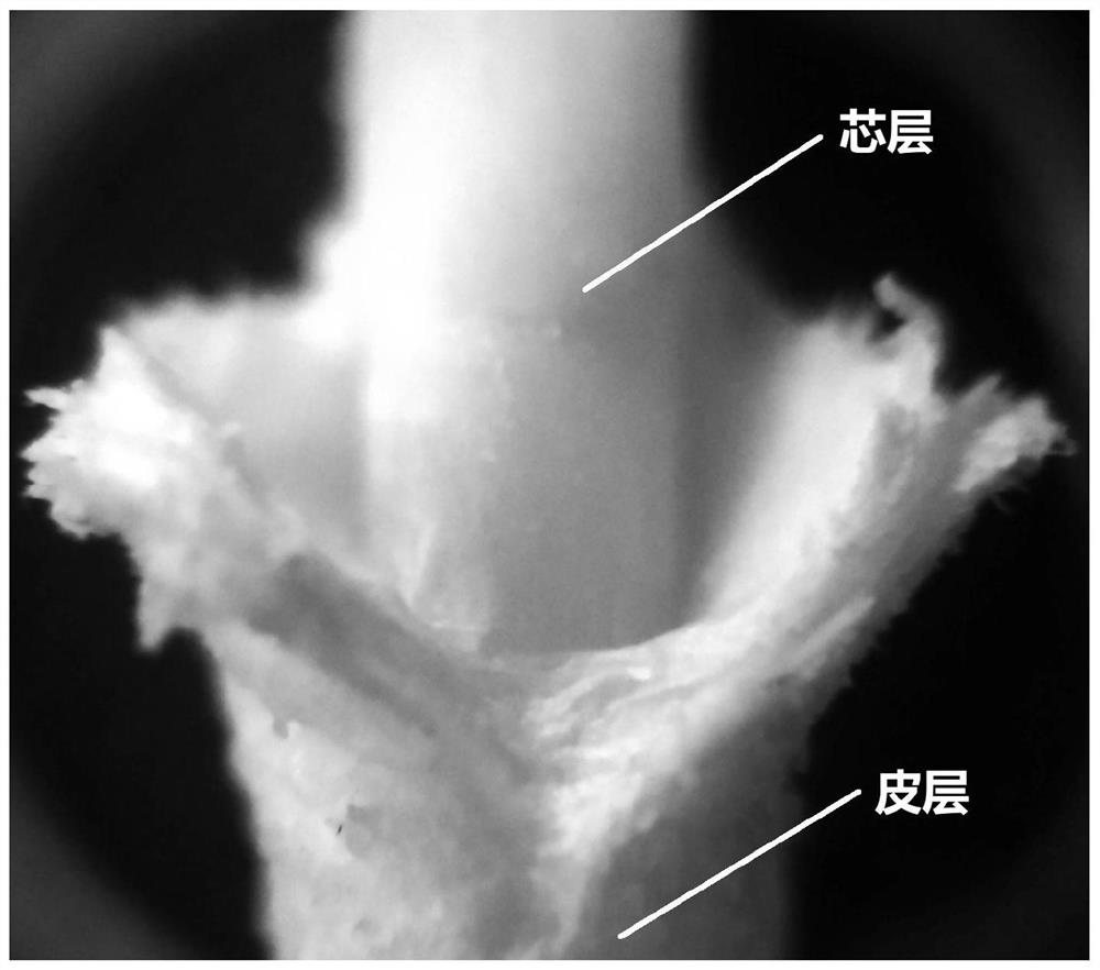 A preparation method of 3D printing wire with functional skin-core structure