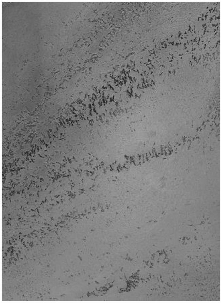 Sand-containing glaze coating and its preparation method and application