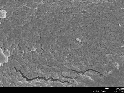 Molecularly imprinted polymer, chemiluminescence kit and detection method specific for phenothiazine drug family