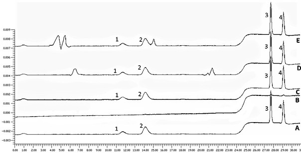 Molecularly imprinted polymer, chemiluminescence kit and detection method specific for phenothiazine drug family