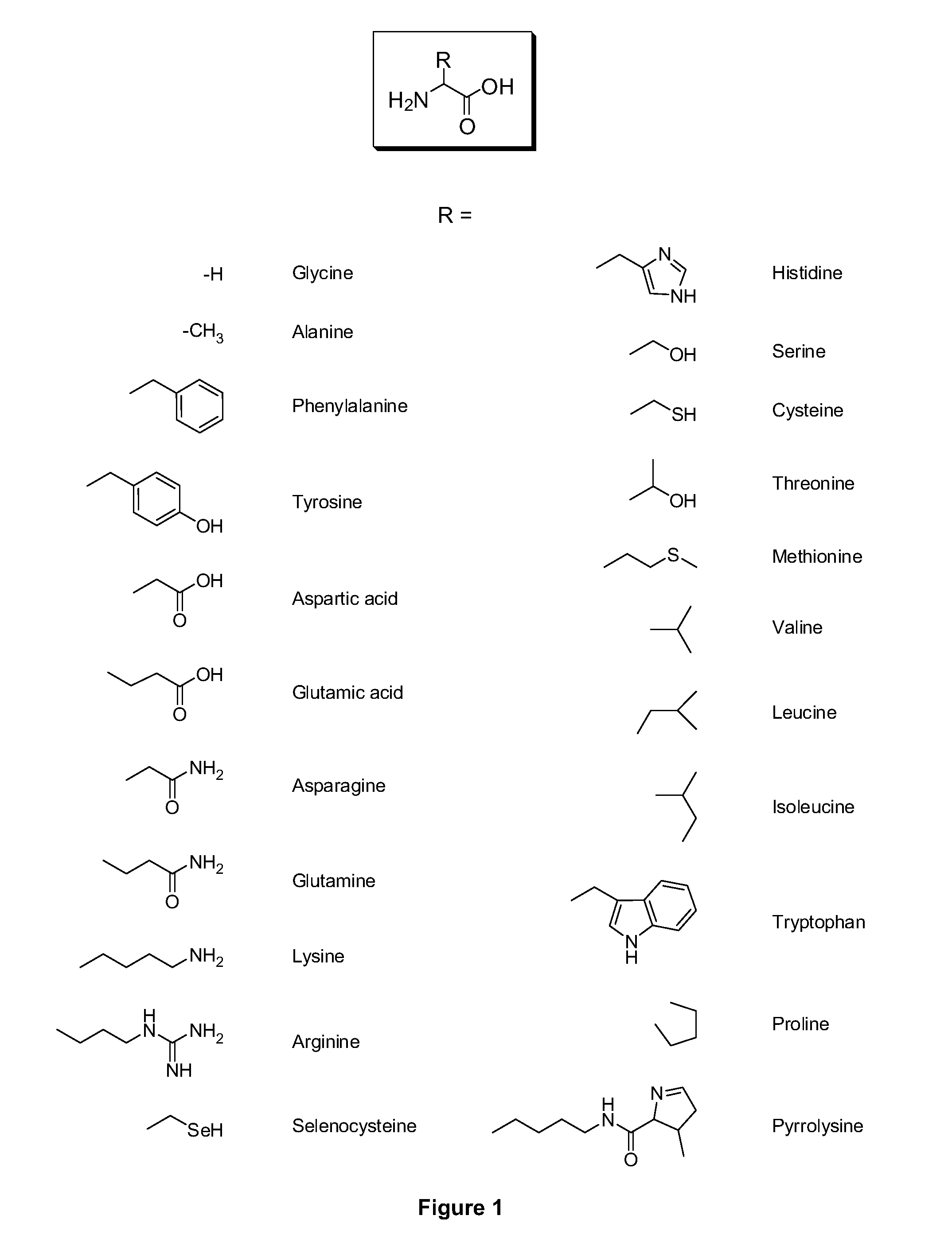 Amino acid conjugates of quetiapine, process for making and using the same