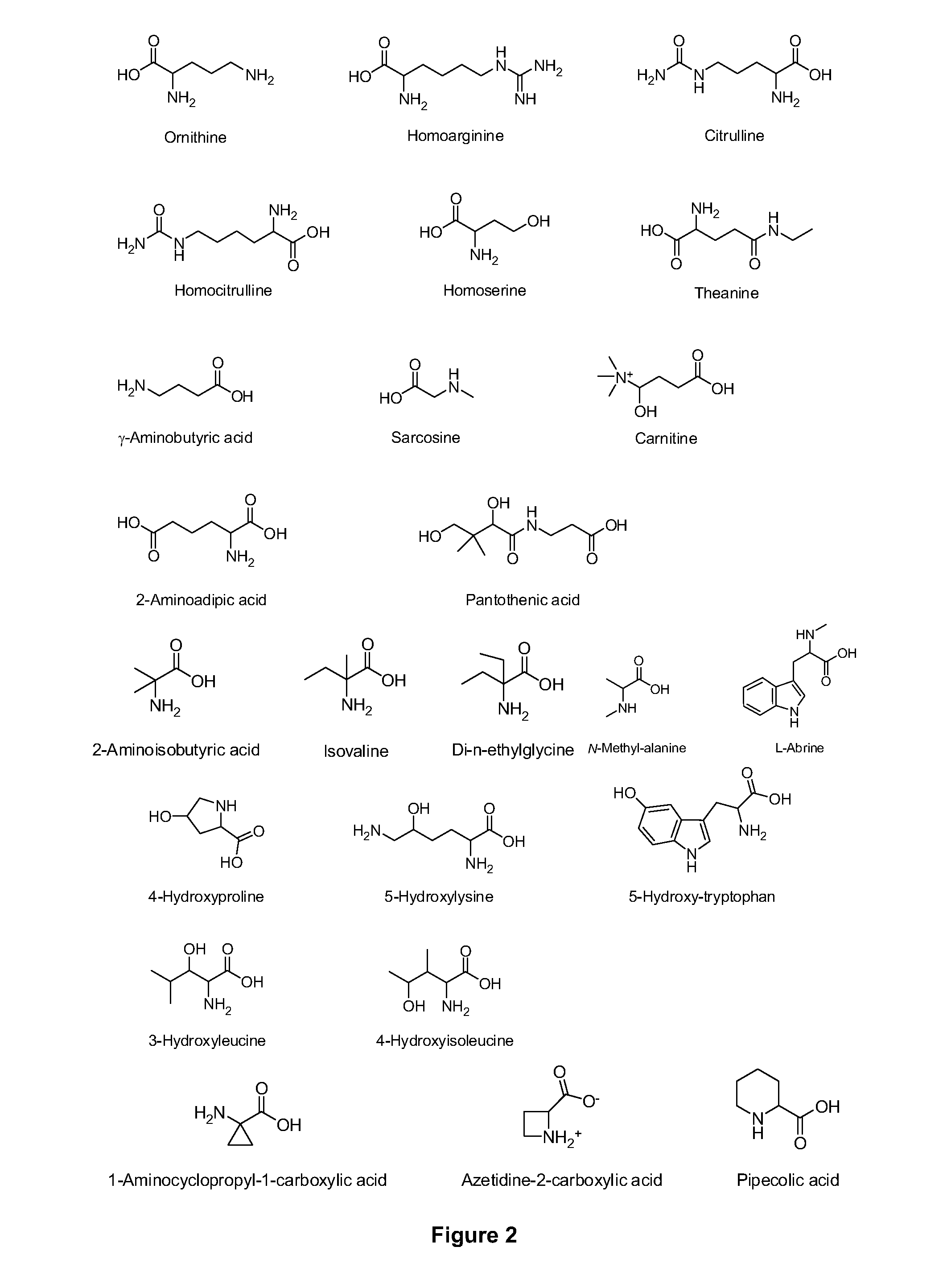 Amino acid conjugates of quetiapine, process for making and using the same
