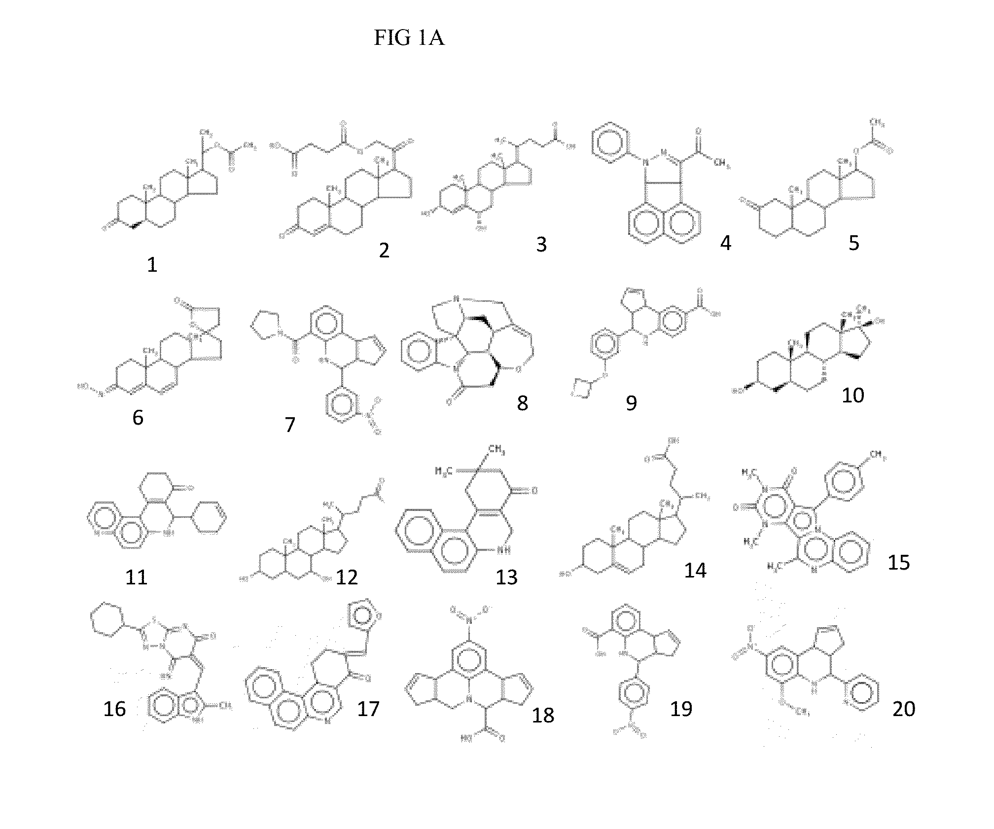 Compositions and methods for inhibiting norovirus infection