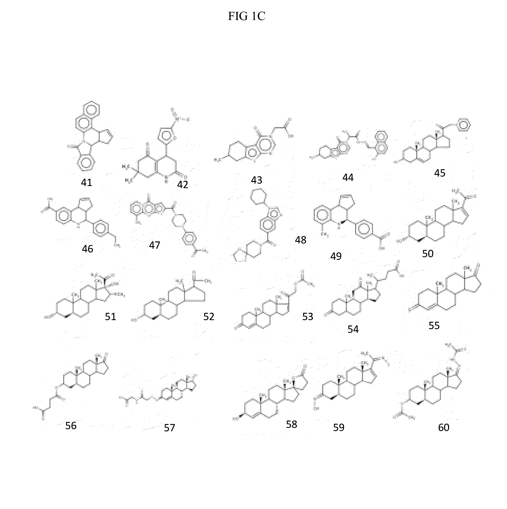 Compositions and methods for inhibiting norovirus infection