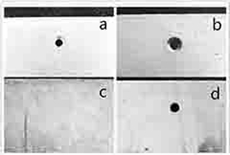 A kind of plating solution and method of electroless pearl nickel plating