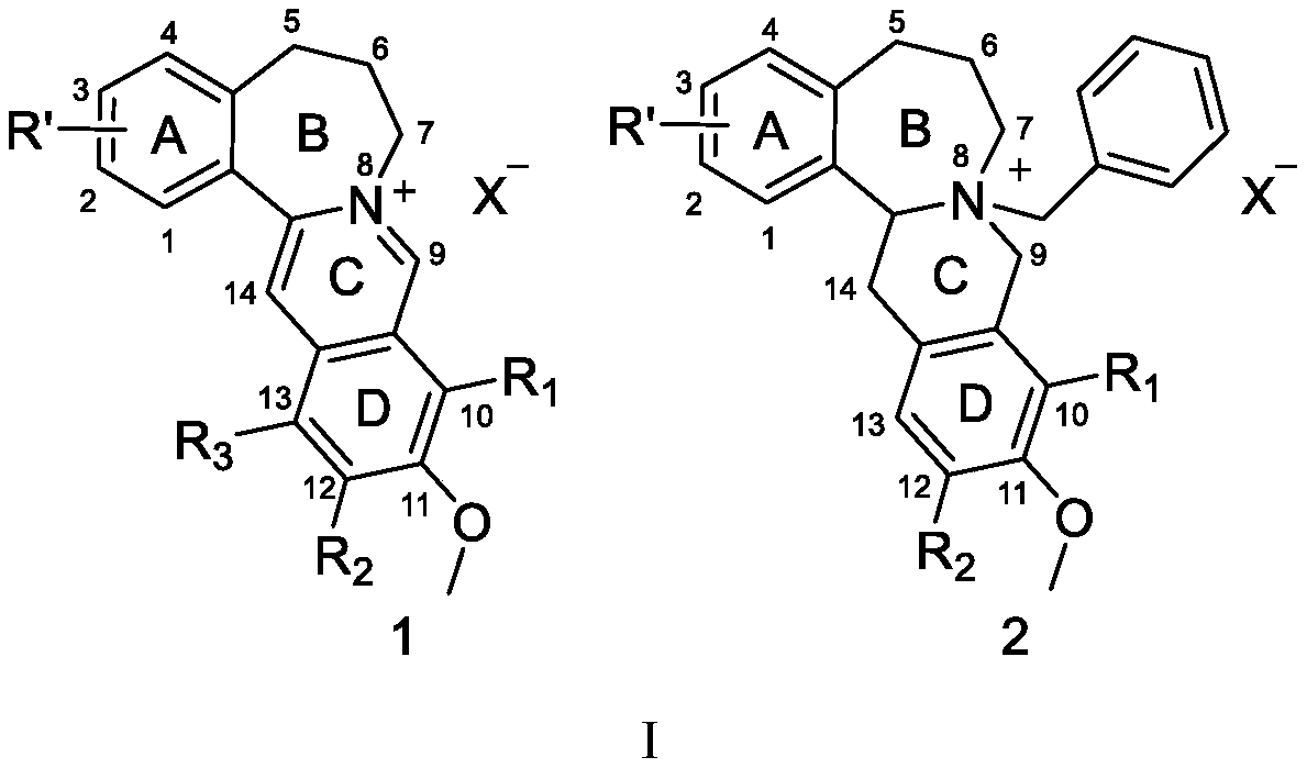 Synthesis of high-b-cyclic berberine and palmatine derivatives and their use as hypoglycemic agents