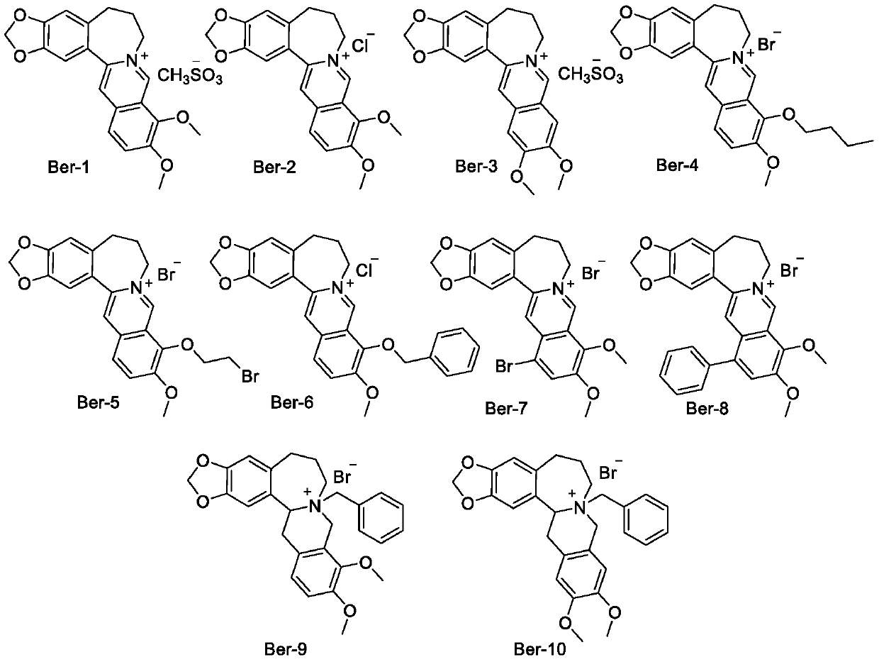 Synthesis of high-b-cyclic berberine and palmatine derivatives and their use as hypoglycemic agents