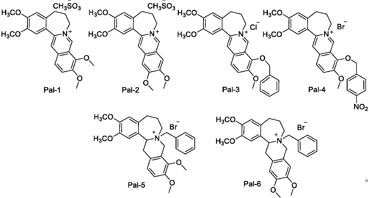 Synthesis of high-b-cyclic berberine and palmatine derivatives and their use as hypoglycemic agents