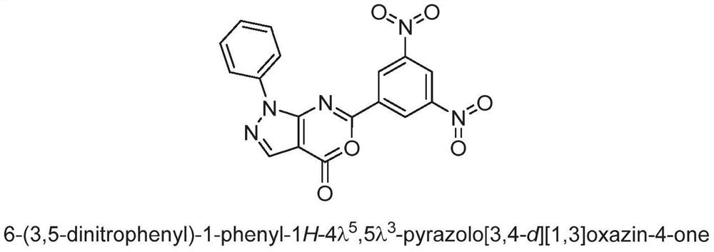 Application of 3, 5-dinitrophenyl-pyrazolo [3, 4-d] [1,3] oxazine as tumor drug resistance reversal agent