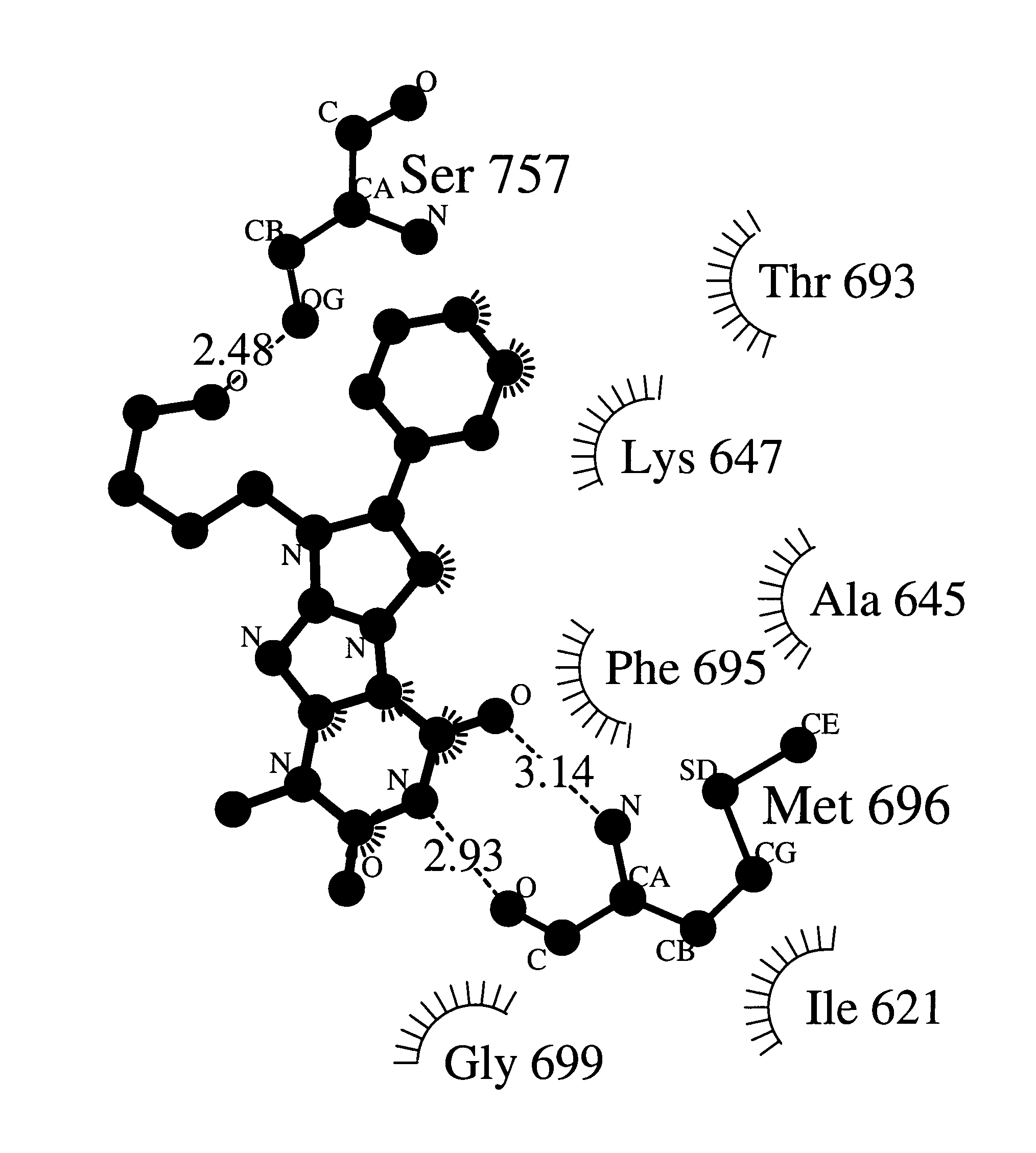 Anti-angiogenic compounds